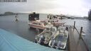 ./images/quadra/hbidock/20241225/hbidock20241225_132508M.jpg