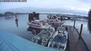 ./images/quadra/hbidock/20241227/hbidock20241227_080509M.jpg
