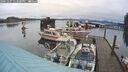 ./images/quadra/hbidock/20241227/hbidock20241227_123500M.jpg