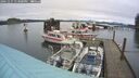 ./images/quadra/hbidock/20241227/hbidock20241227_133000M.jpg