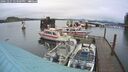 ./images/quadra/hbidock/20241227/hbidock20241227_143009M.jpg