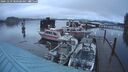 ./images/quadra/hbidock/20241229/hbidock20241229_080500M.jpg