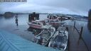 ./images/quadra/hbidock/20241229/hbidock20241229_080507M.jpg