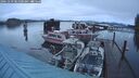 ./images/quadra/hbidock/20241229/hbidock20241229_081000M.jpg