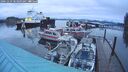 ./images/quadra/hbidock/20241229/hbidock20241229_083009M.jpg