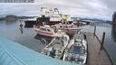 ./images/quadra/hbidock/20241229/hbidock20241229_085000M.jpg