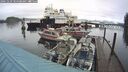 ./images/quadra/hbidock/20241229/hbidock20241229_104508M.jpg