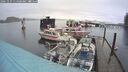 ./images/quadra/hbidock/20241229/hbidock20241229_114509M.jpg