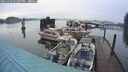 ./images/quadra/hbidock/20241229/hbidock20241229_153507M.jpg
