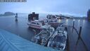 ./images/quadra/hbidock/20241230/hbidock20241230_081009M.jpg