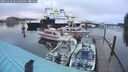 ./images/quadra/hbidock/20241230/hbidock20241230_085508M.jpg