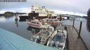 ./images/quadra/hbidock/20241230/hbidock20241230_105500M.jpg