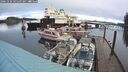 ./images/quadra/hbidock/20241230/hbidock20241230_105507M.jpg
