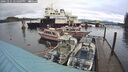 ./images/quadra/hbidock/20241231/hbidock20241231_144009M.jpg