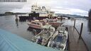 ./images/quadra/hbidock/20241231/hbidock20241231_144509M.jpg