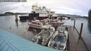 ./images/quadra/hbidock/20241231/hbidock20241231_145009M.jpg