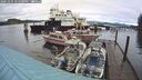 ./images/quadra/hbidock/20241231/hbidock20241231_145508M.jpg