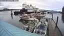 ./images/quadra/hbidock/20241231/hbidock20241231_150507M.jpg