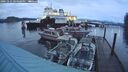 ./images/quadra/hbidock/20241231/hbidock20241231_164500M.jpg