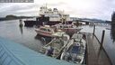 ./images/quadra/hbidock/20250101/hbidock20250101_105009M.jpg