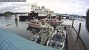 ./images/quadra/hbidock/20250101/hbidock20250101_105500M.jpg
