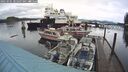 ./images/quadra/hbidock/20250101/hbidock20250101_105508M.jpg