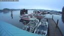 ./images/quadra/hbidock/20250103/hbidock20250103_081509M.jpg