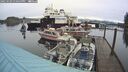 ./images/quadra/hbidock/20250103/hbidock20250103_130500M.jpg