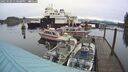 ./images/quadra/hbidock/20250103/hbidock20250103_130508M.jpg