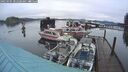 ./images/quadra/hbidock/20250105/hbidock20250105_082508M.jpg