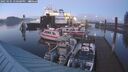./images/quadra/hbidock/20250105/hbidock20250105_170500M.jpg