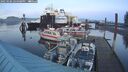 ./images/quadra/hbidock/20250106/hbidock20250106_164008M.jpg