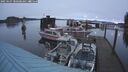 ./images/quadra/hbidock/20250107/hbidock20250107_080500M.jpg