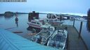 ./images/quadra/hbidock/20250107/hbidock20250107_083000M.jpg
