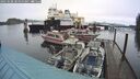 ./images/quadra/hbidock/20250108/hbidock20250108_085000M.jpg