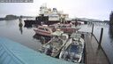 ./images/quadra/hbidock/20250108/hbidock20250108_090500M.jpg