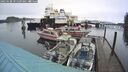 ./images/quadra/hbidock/20250108/hbidock20250108_091509M.jpg
