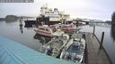 ./images/quadra/hbidock/20250108/hbidock20250108_110000M.jpg