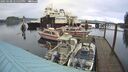 ./images/quadra/hbidock/20250108/hbidock20250108_145500M.jpg