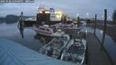 ./images/quadra/hbidock/20250108/hbidock20250108_170508M.jpg