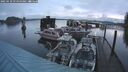 ./images/quadra/hbidock/20250110/hbidock20250110_075000M.jpg