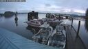 ./images/quadra/hbidock/20250110/hbidock20250110_075008M.jpg