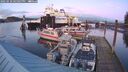 ./images/quadra/hbidock/20250110/hbidock20250110_165008M.jpg
