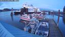 ./images/quadra/hbidock/20250110/hbidock20250110_170011M.jpg