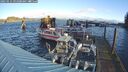 ./images/quadra/hbidock/20250111/hbidock20250111_095000M.jpg