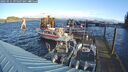 ./images/quadra/hbidock/20250111/hbidock20250111_095508M.jpg