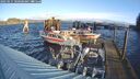 ./images/quadra/hbidock/20250111/hbidock20250111_100508M.jpg