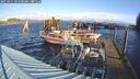 ./images/quadra/hbidock/20250111/hbidock20250111_101508M.jpg