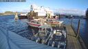 ./images/quadra/hbidock/20250111/hbidock20250111_105508M.jpg