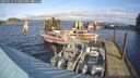 ./images/quadra/hbidock/20250111/hbidock20250111_115007M.jpg